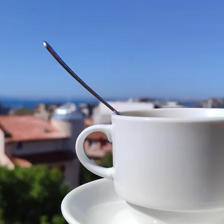 Sunny Sands 公寓 布尔加斯